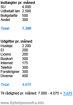 Eksempel på budget